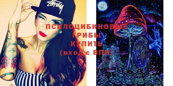 винт Белокуриха